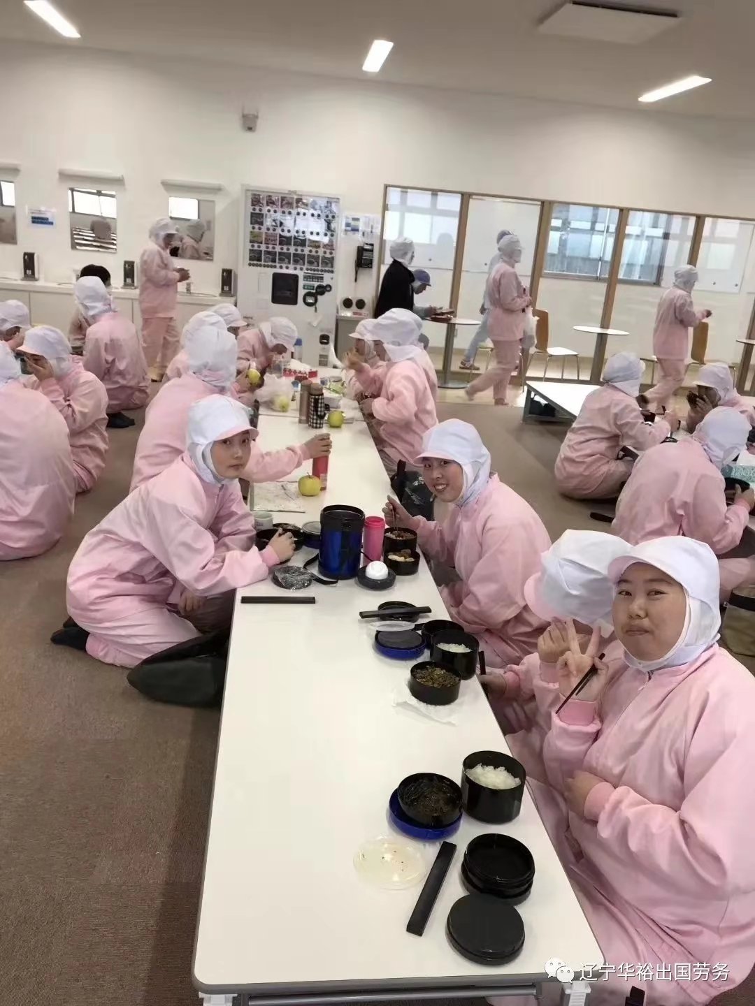 日本巖手縣雞肉加工 隨時(shí)視頻面試